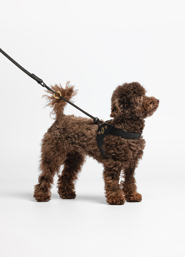 Liu Jo Pets harness black Liu Jo - large image number 0 Liu Jo Pets harness black Liu Jo - large image number 0