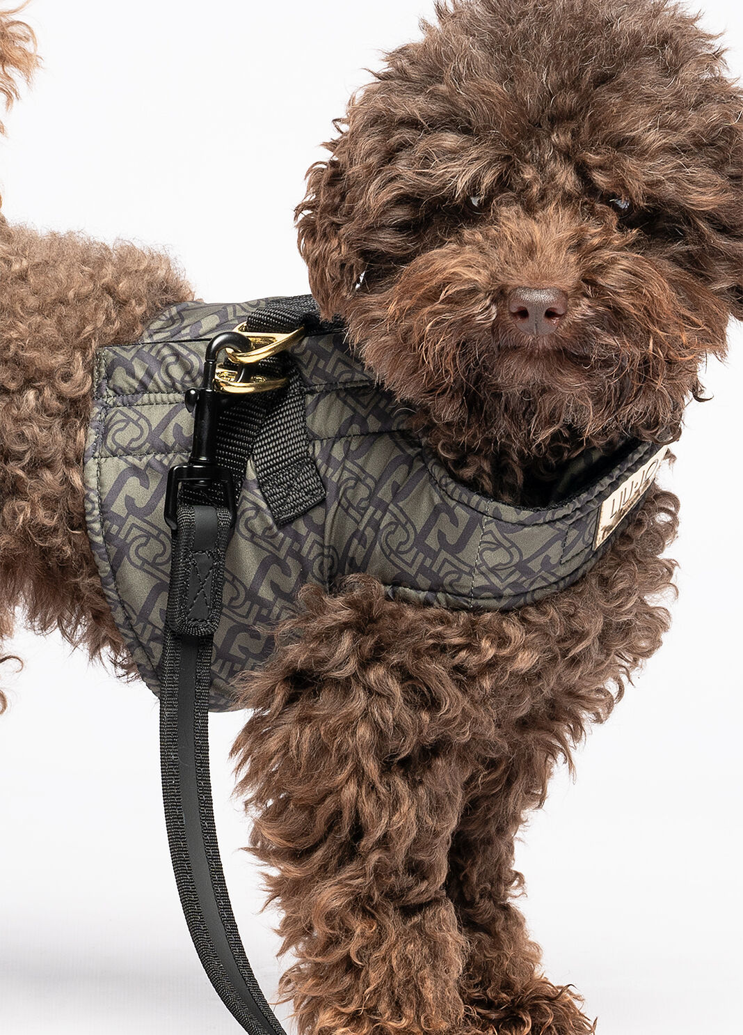 Liu Jo Pets harness khaki green Liu Jo - large image number 3