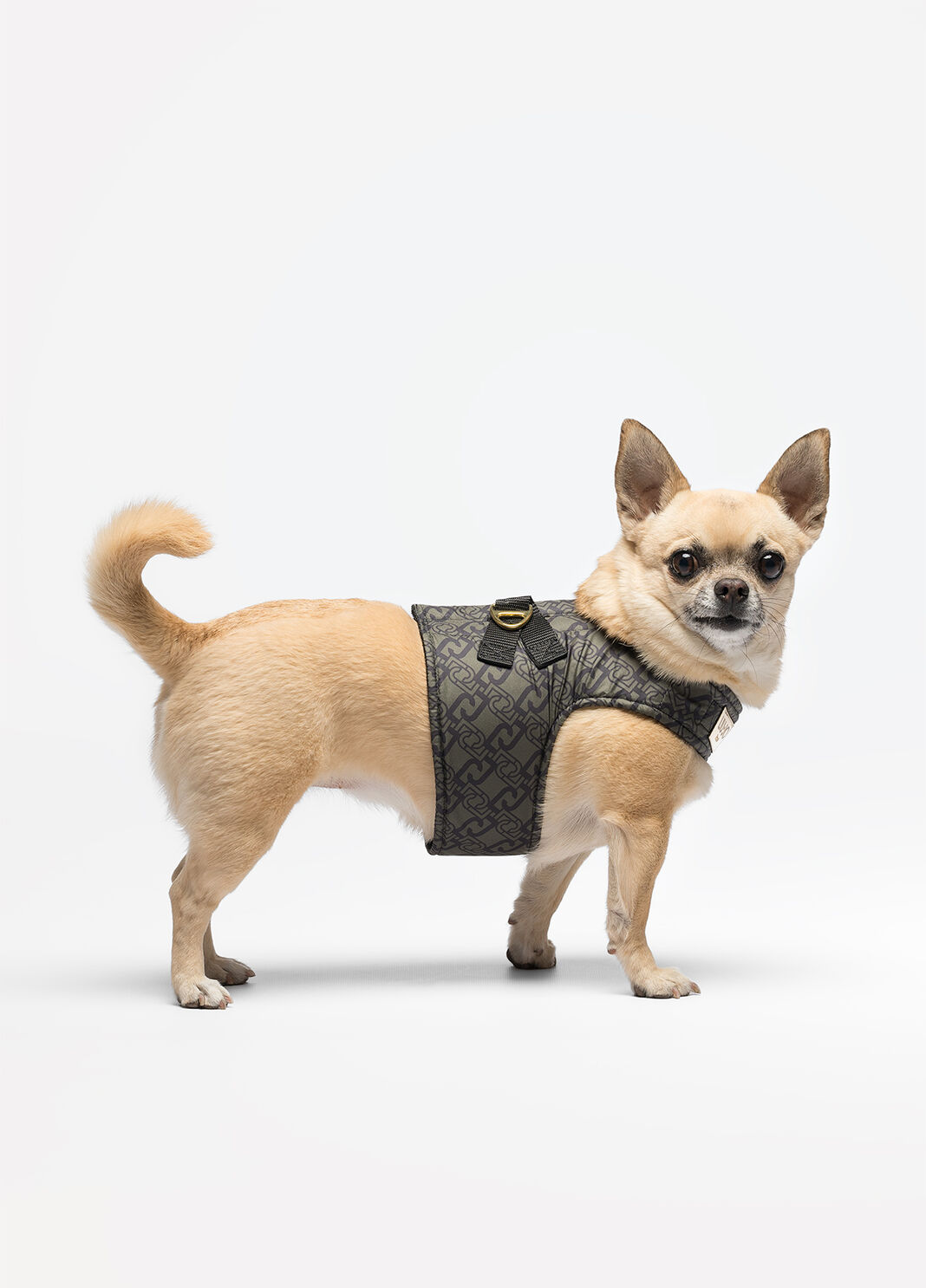 Liu Jo Pets harness khaki green Liu Jo - large image number 0