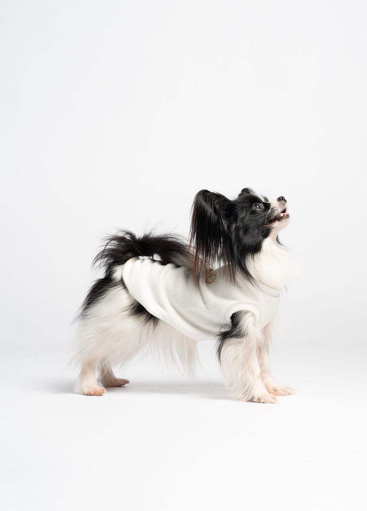 Liu Jo Pets cotton pullover caramel Liu Jo - medium