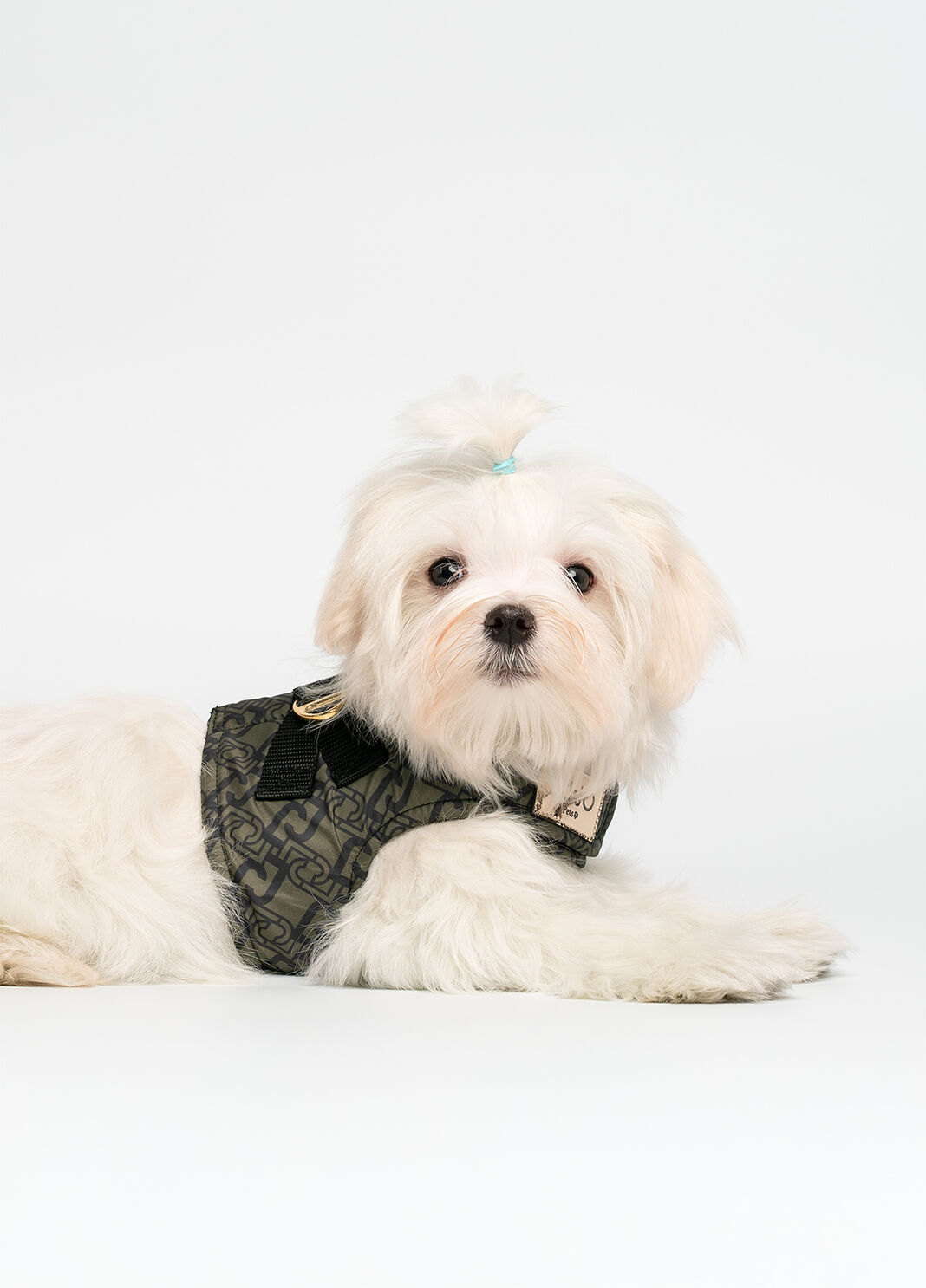 Liu Jo Pets harness khaki green Liu Jo - large image number 6