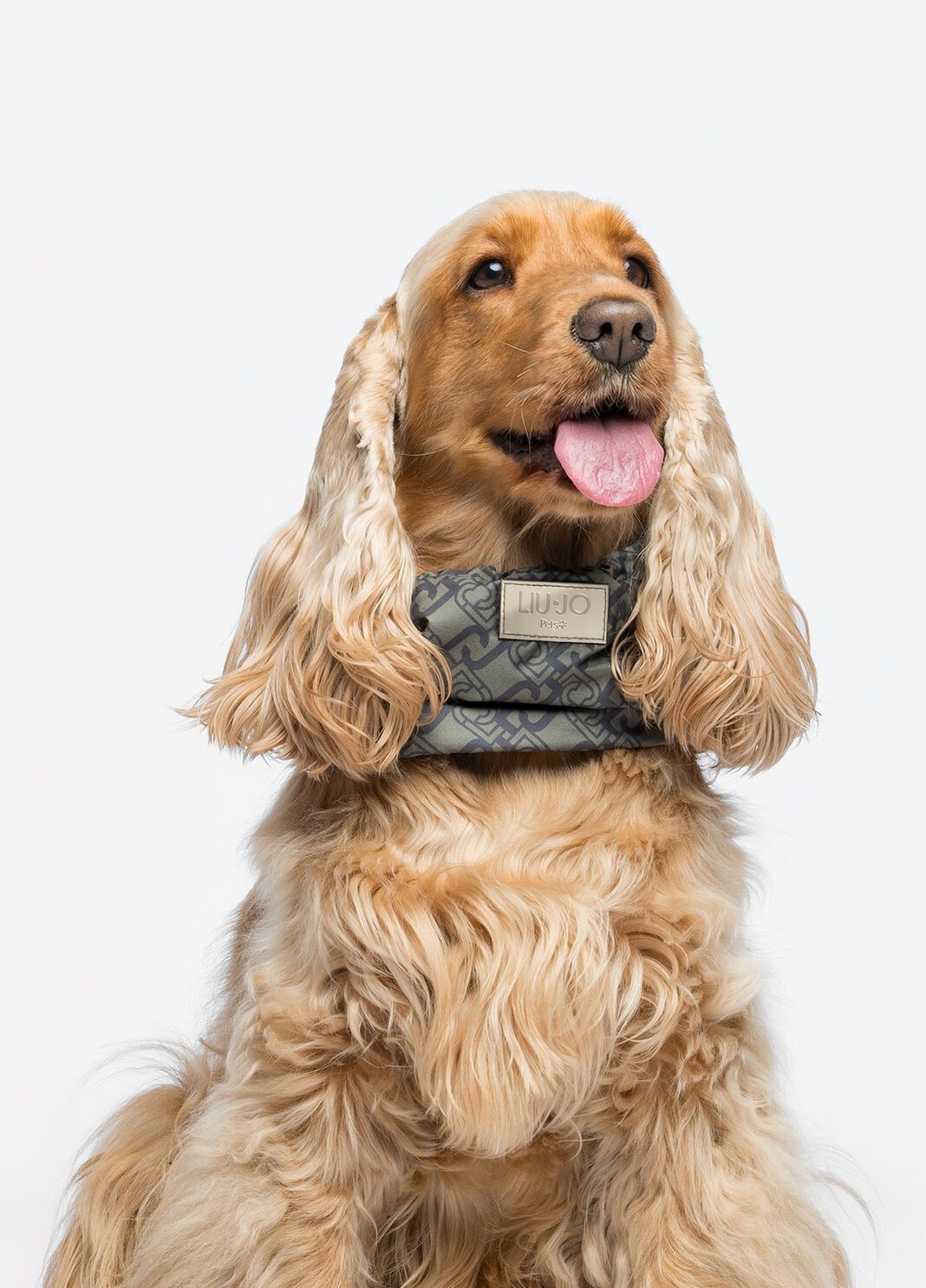 Copriorecchie-cuello Liu Jo Pets verde militar Liu Jo - large image number 3