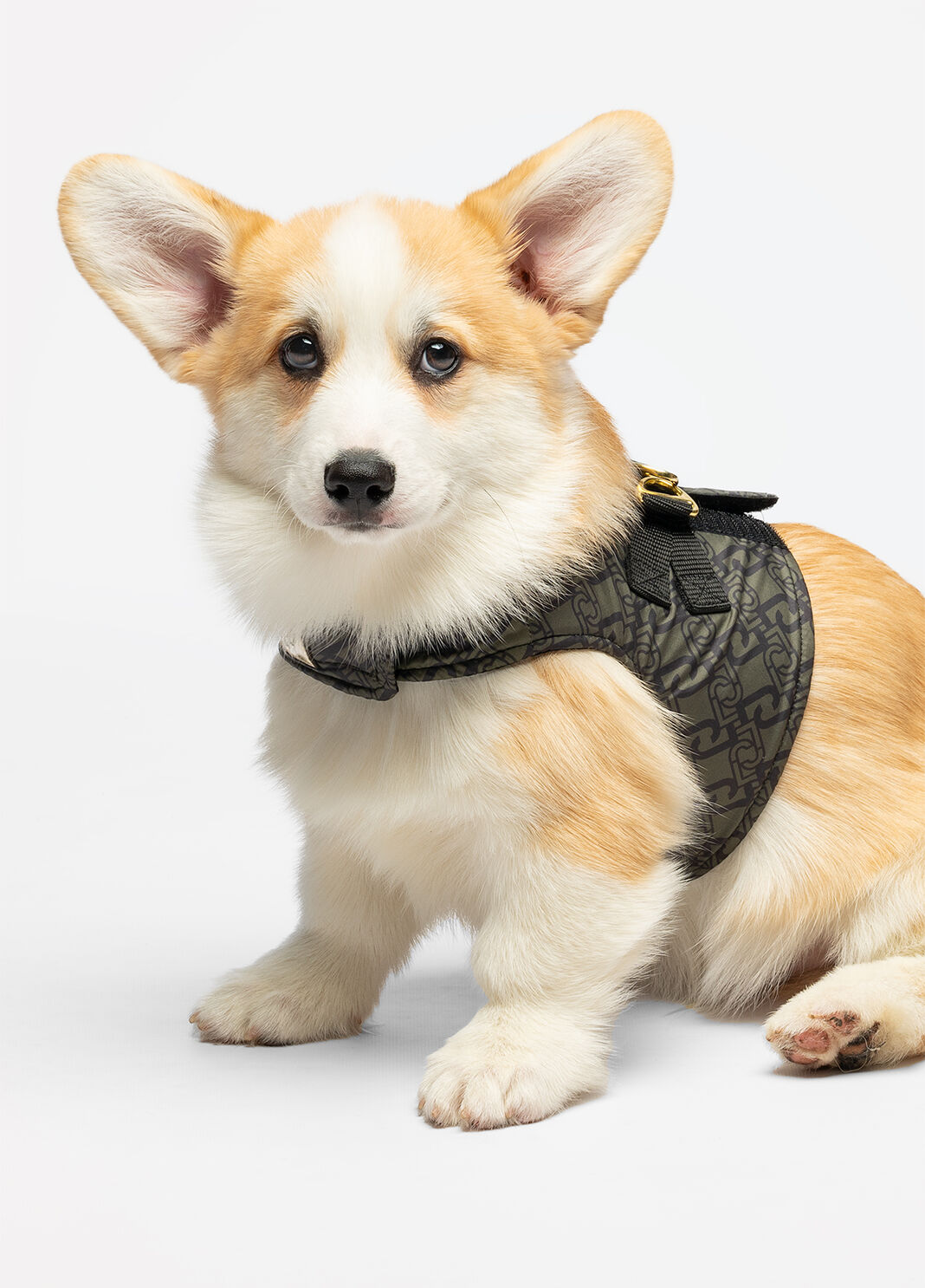 Liu Jo Pets harness khaki green Liu Jo - large image number 2