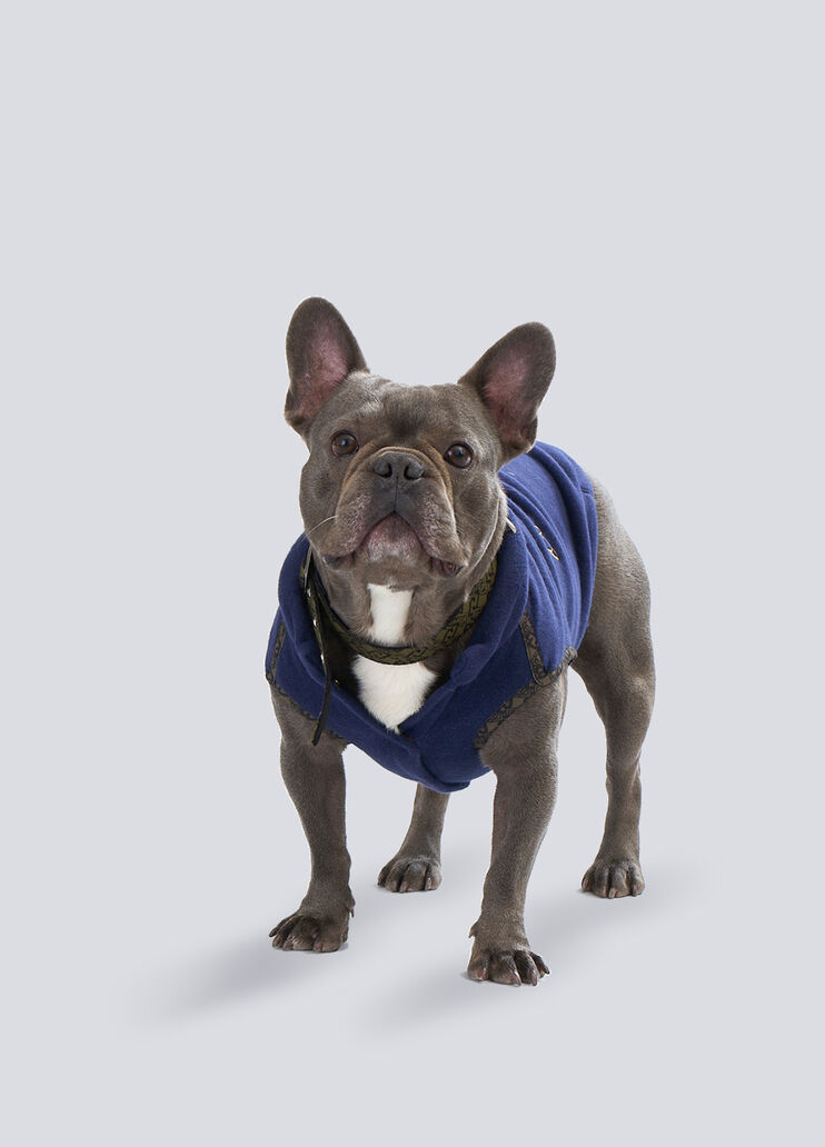 Liu Jo PETS sweatshirt with capelet blue Liu Jo - large image number 1 Liu Jo PETS sweatshirt with capelet blue Liu Jo - large image number 1