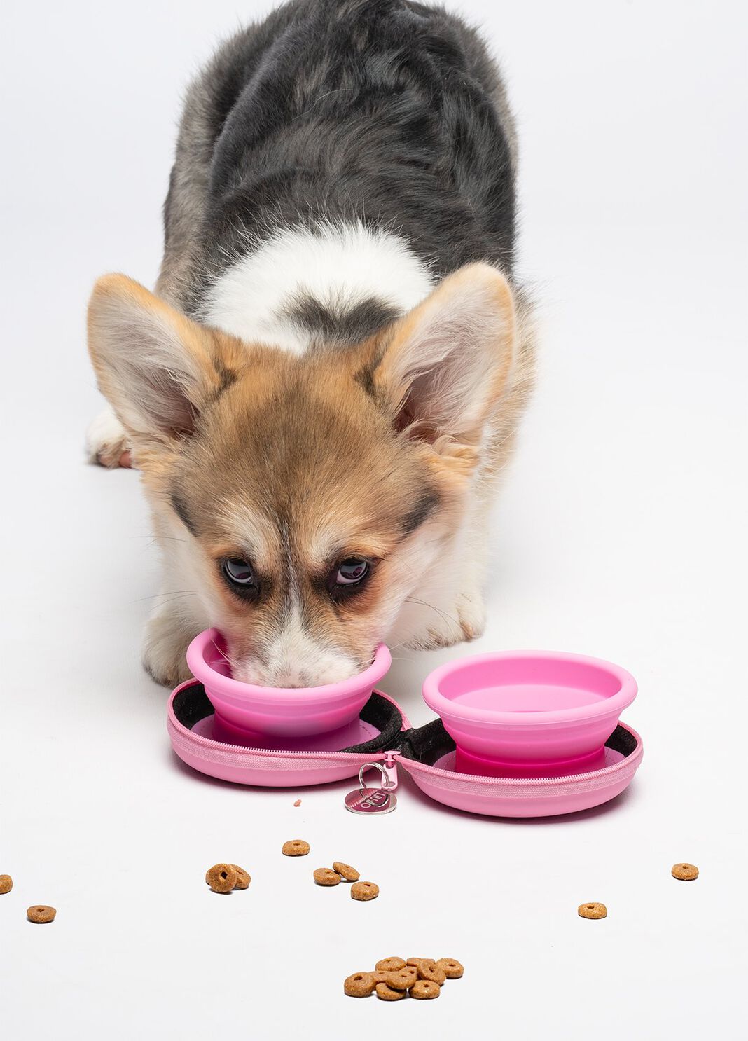 Liu Jo Pets travel bowl  Liu Jo - large image number 4