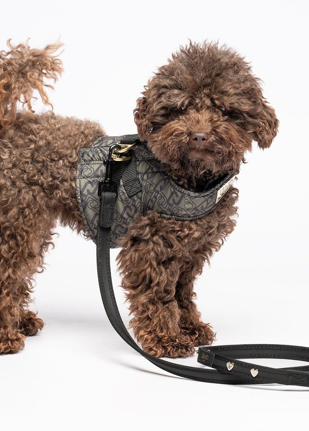 Leine Liu Jo Pets schwarz Liu Jo - large image number 4