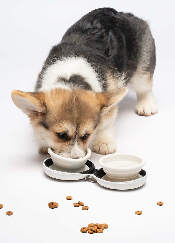 Ciotola da viaggio Liu Jo Pets  Liu Jo - large image number 4