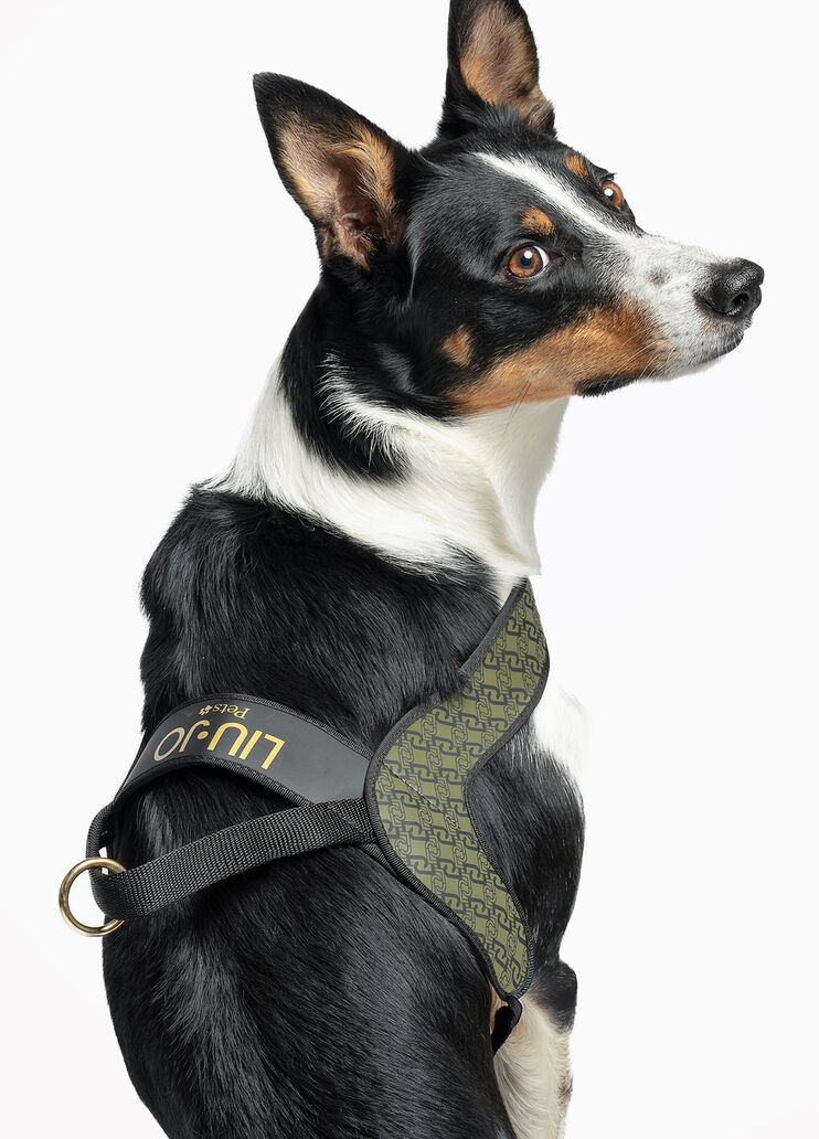 Liu Jo Pets large harness khaki green Liu Jo - large image number 4