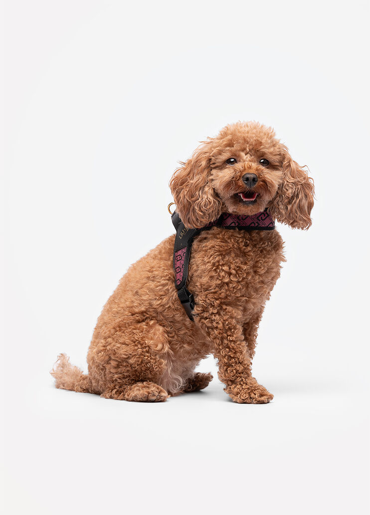 Liu Jo Pets harness pink Liu Jo - medium Liu Jo Pets harness pink Liu Jo - medium