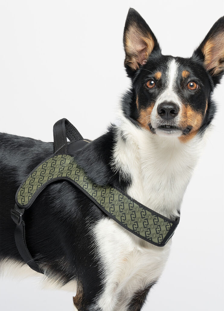 Liu Jo Pets large harness khaki green Liu Jo - large image number 5