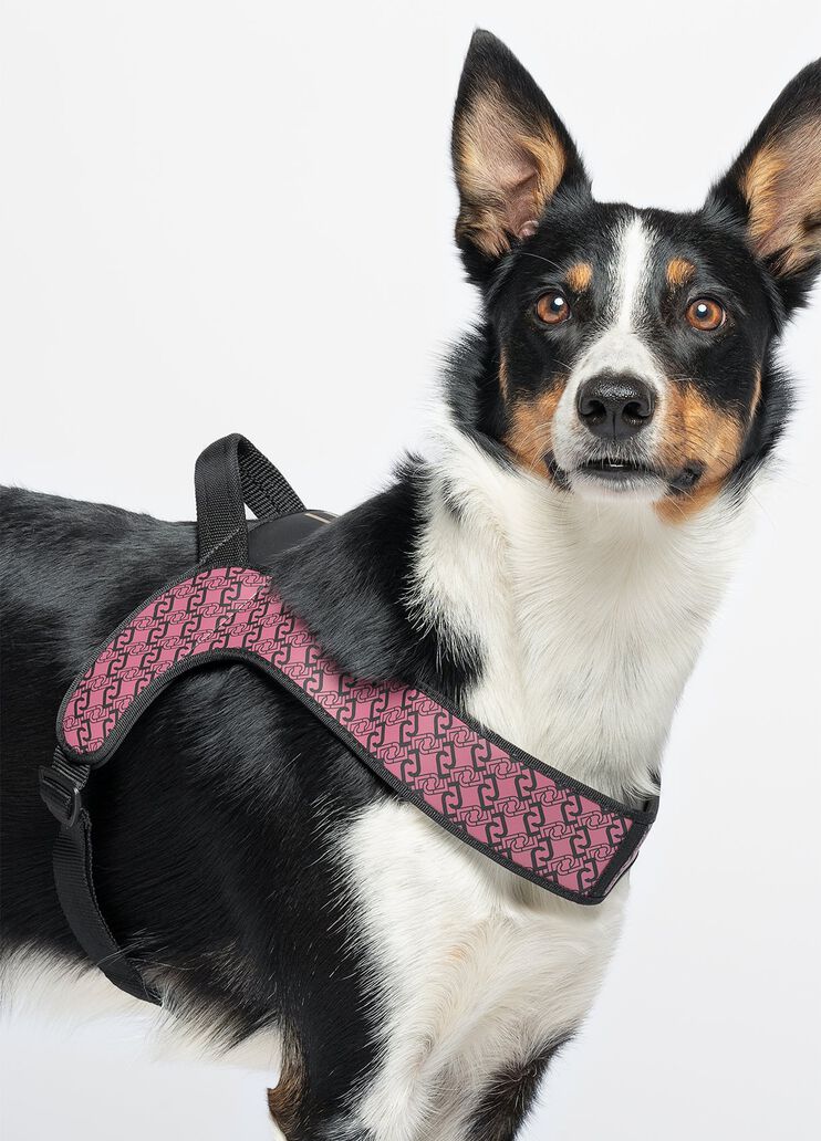 Liu Jo Pets large harness pink Liu Jo - medium