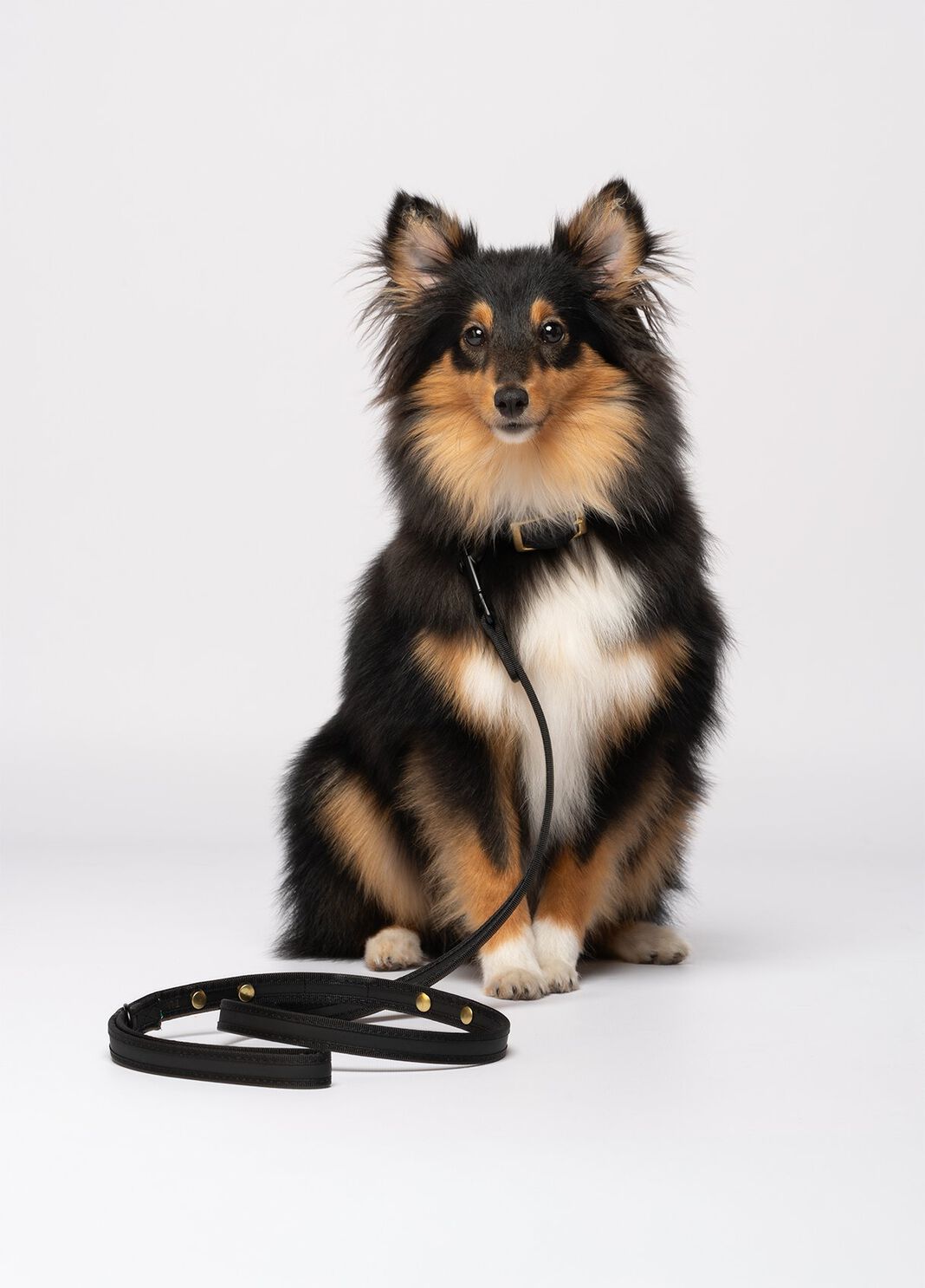 Leine Liu Jo Pets schwarz Liu Jo - large image number 0