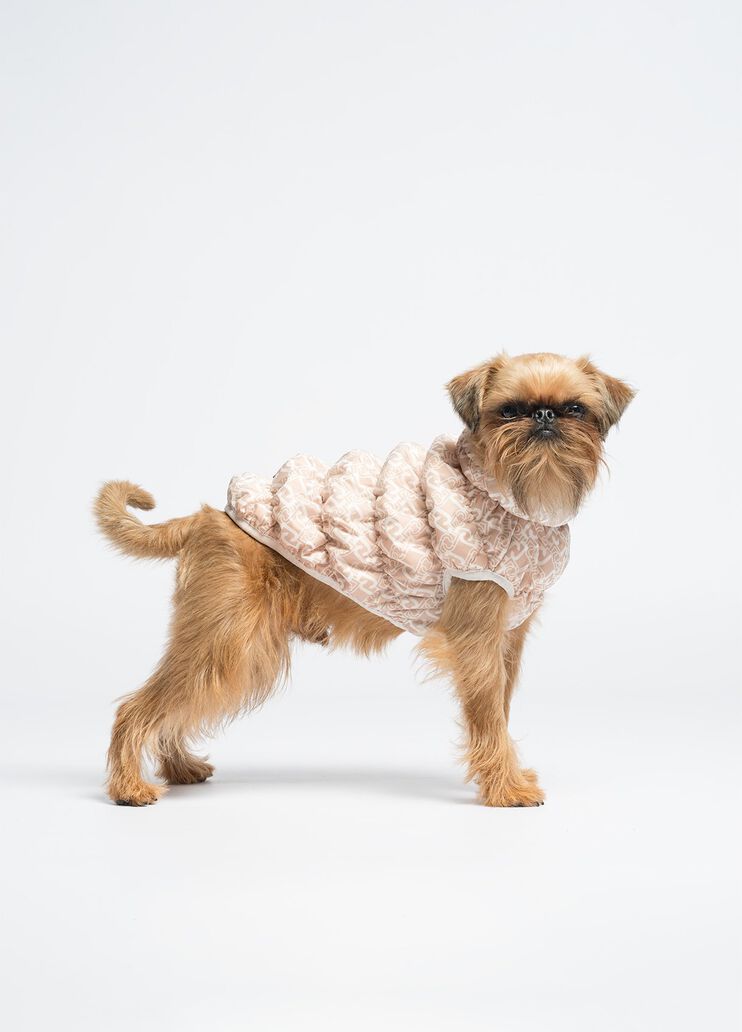 Liu Jo Pets padded jacket caramel Liu Jo - medium