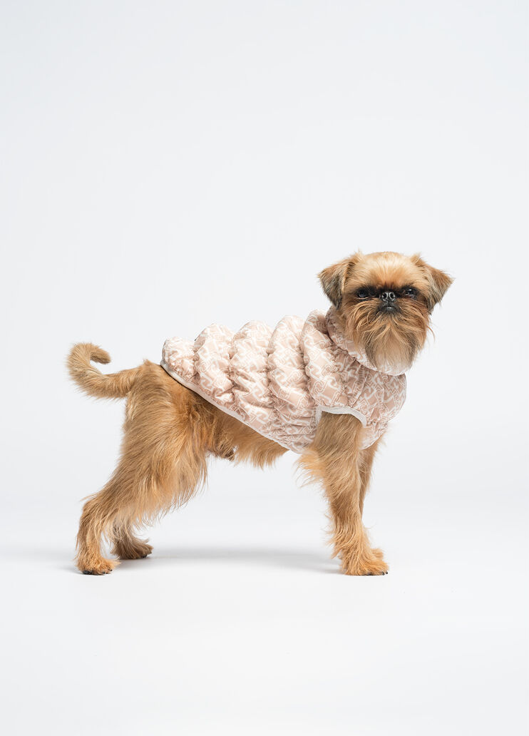 Liu Jo Pets padded jacket caramel Liu Jo - medium Liu Jo Pets padded jacket caramel Liu Jo - medium