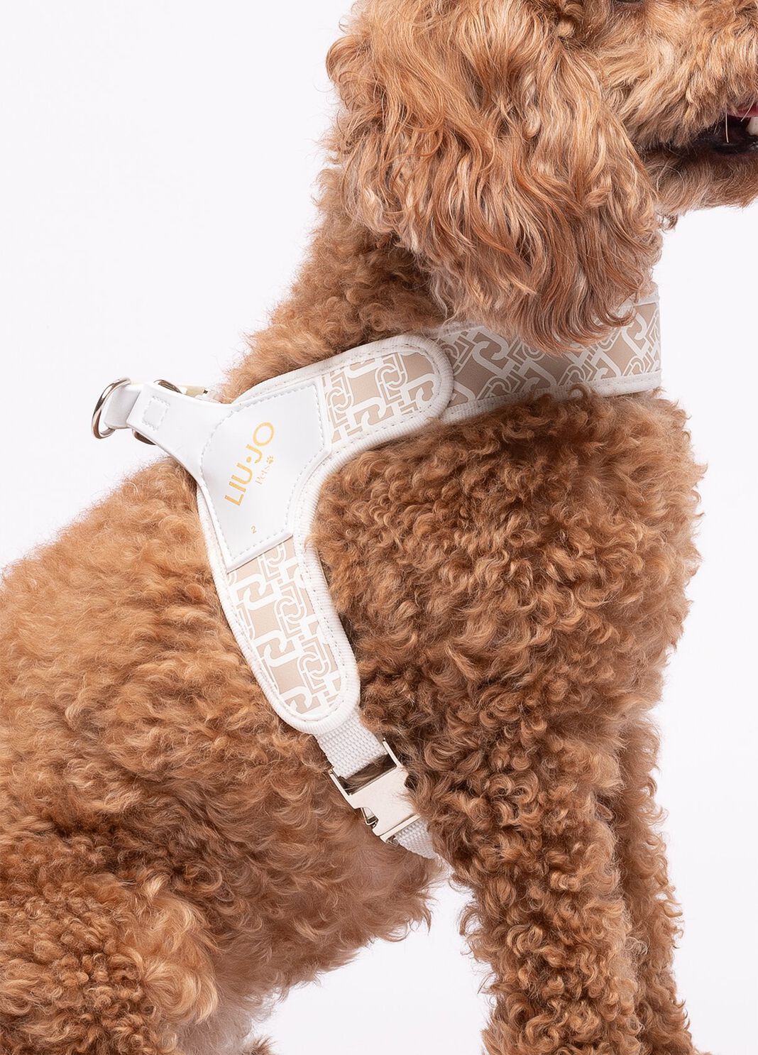 Liu Jo Pets harness caramel Liu Jo - large image number 5