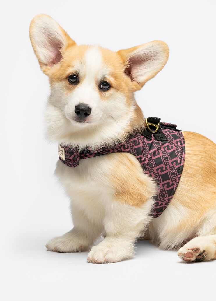 Liu Jo Pets harness pink Liu Jo - medium