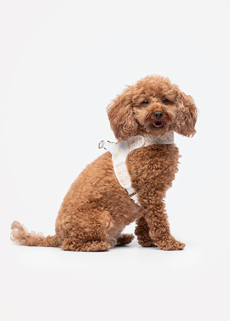 Liu Jo Pets harness caramel Liu Jo - medium
