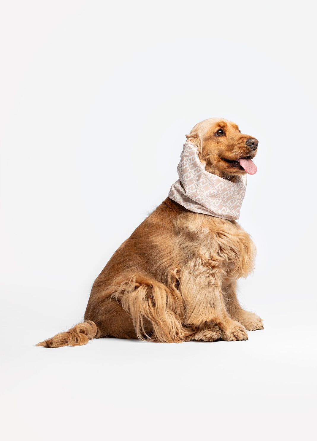 Liu Jo Pets ear and neck warmer caramel Liu Jo - large image number 0