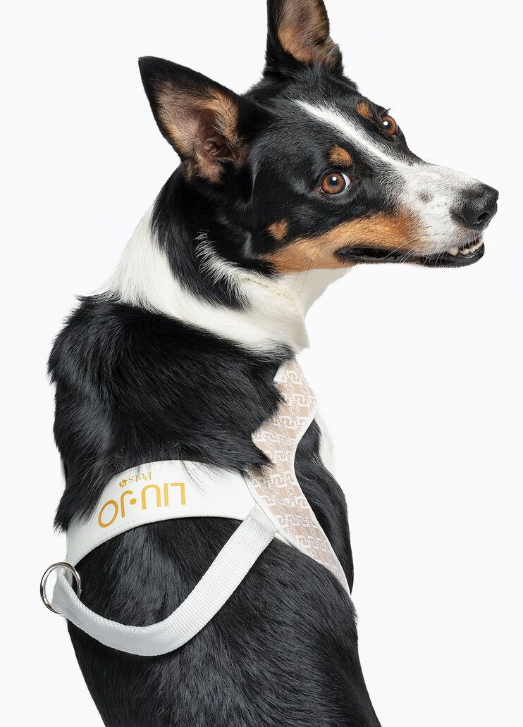 Liu Jo Pets large harness caramel Liu Jo - medium