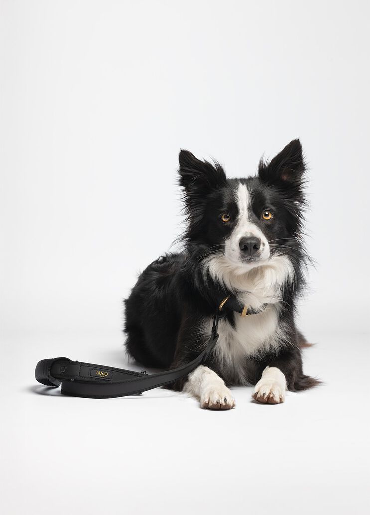 Liu Jo Pets large leash black Liu Jo - medium