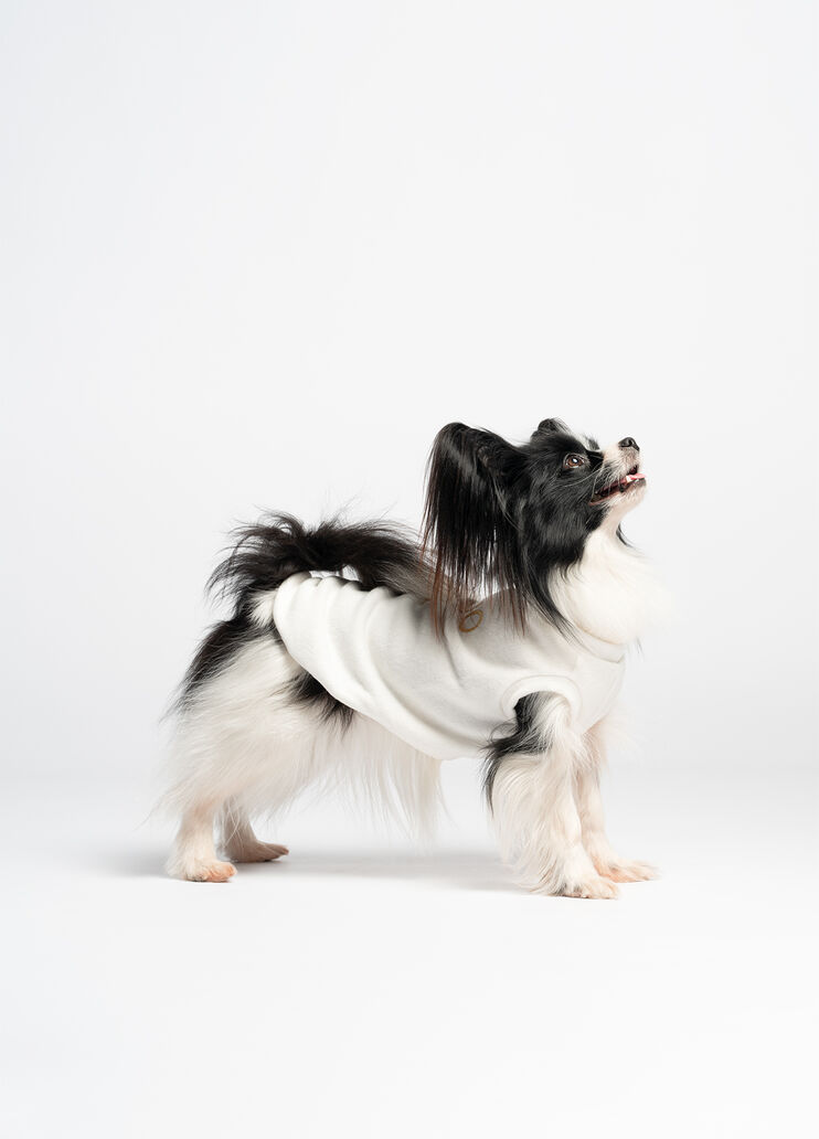 Liu Jo Pets cotton pullover caramel Liu Jo - medium Liu Jo Pets cotton pullover caramel Liu Jo - medium