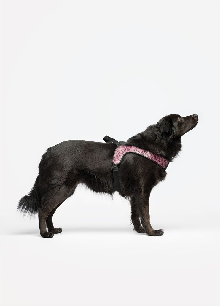 Liu Jo Pets large harness pink Liu Jo - medium Liu Jo Pets large harness pink Liu Jo - medium