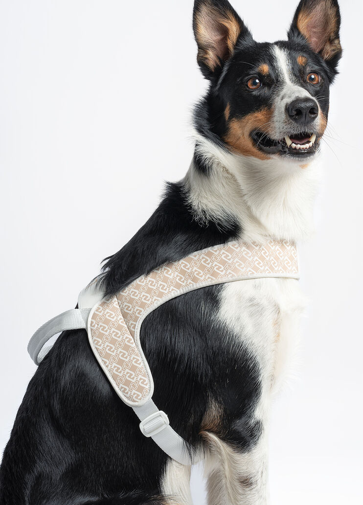 Liu Jo Pets large harness caramel Liu Jo - large image number 4