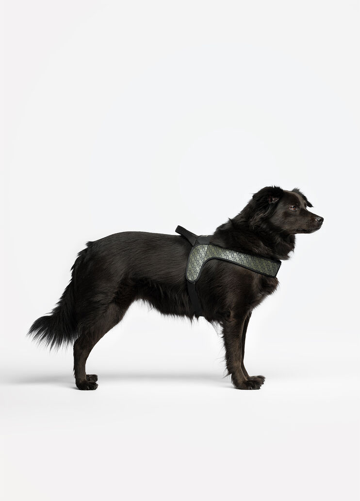 Liu Jo Pets large harness khaki green Liu Jo - medium