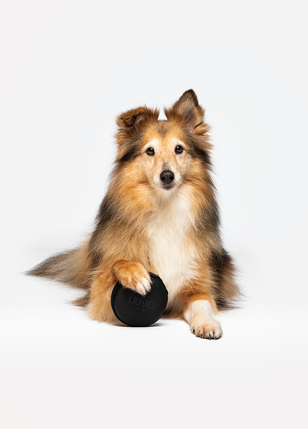 Liu Jo Pets travel bowl black Liu Jo - large image number 0