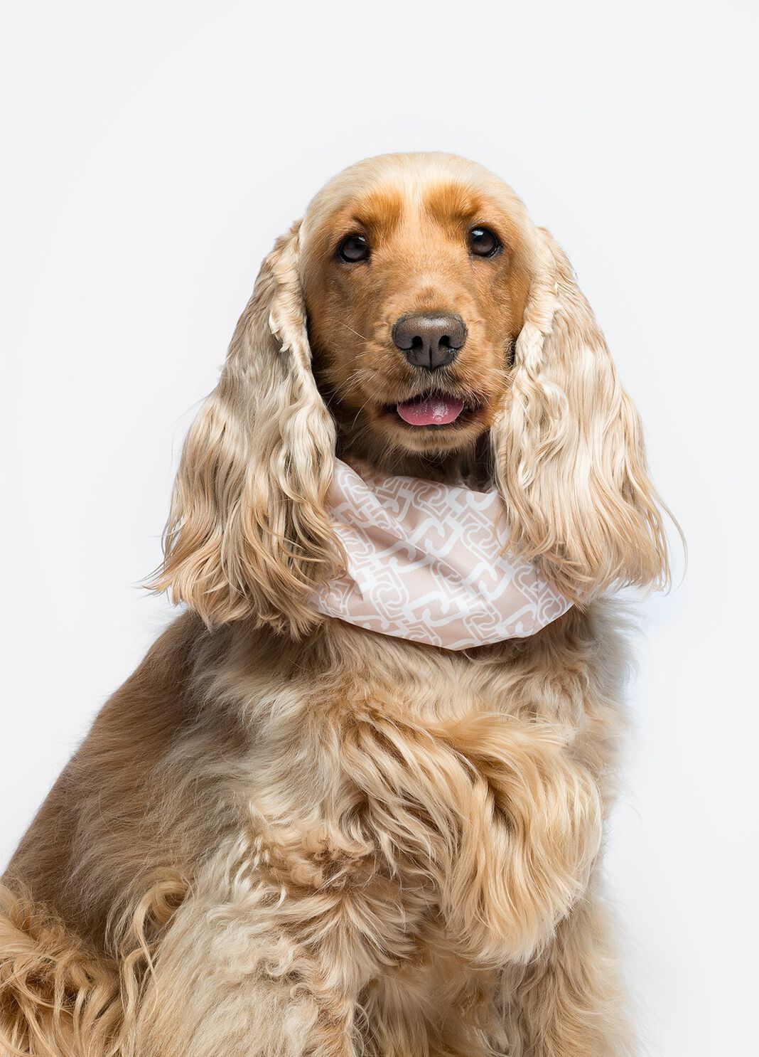 Liu Jo Pets ear and neck warmer caramel Liu Jo - large image number 3