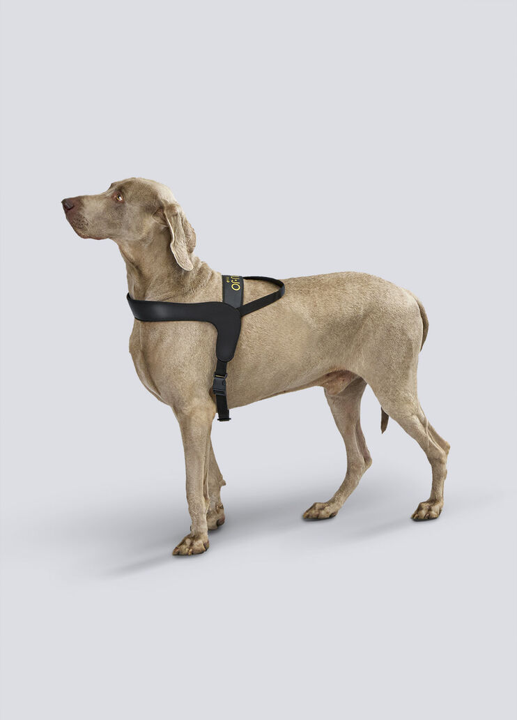 Liu Jo PETS dog harness black Liu Jo - large image number 1 Liu Jo PETS dog harness black Liu Jo - large image number 1