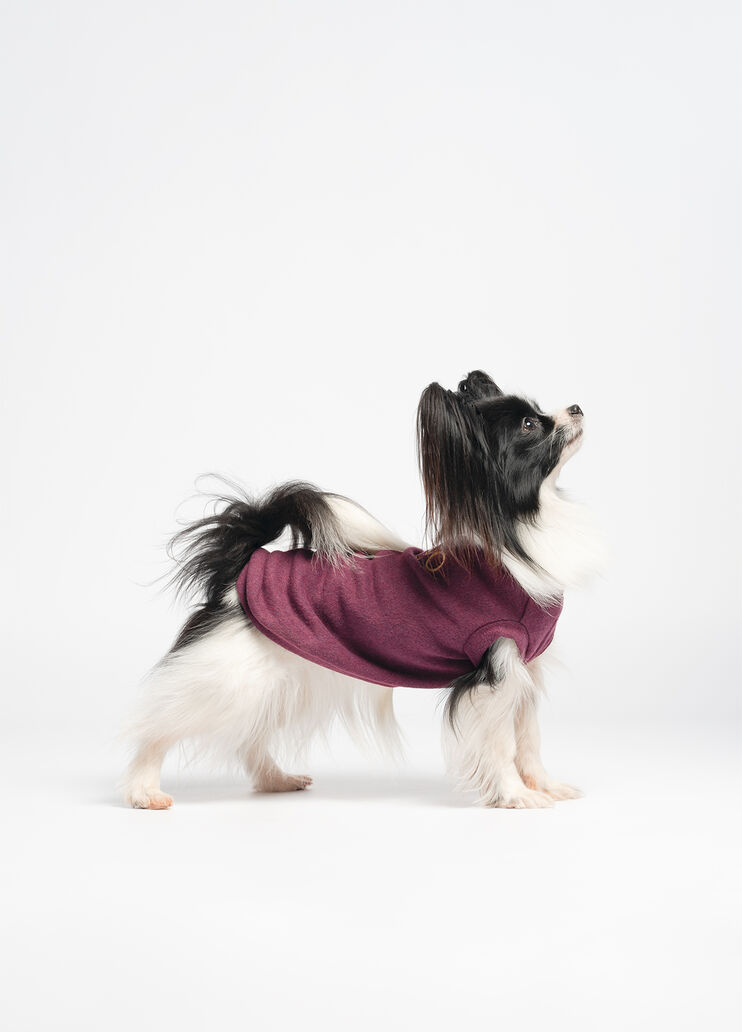 Liu Jo Pets cotton pullover pink Liu Jo - medium Liu Jo Pets cotton pullover pink Liu Jo - medium