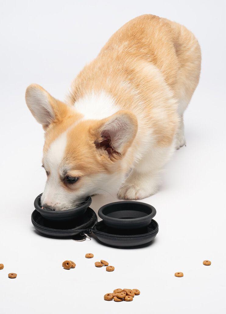 Liu Jo Pets travel bowl black Liu Jo - medium