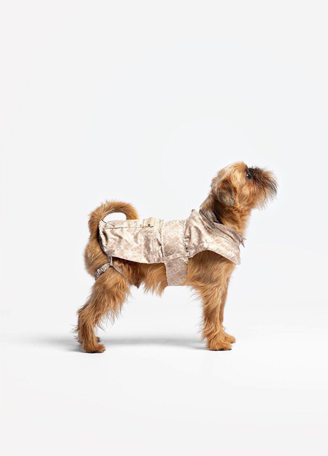 Liu Jo Pets double-face raincoat caramel Liu Jo - large image number 0