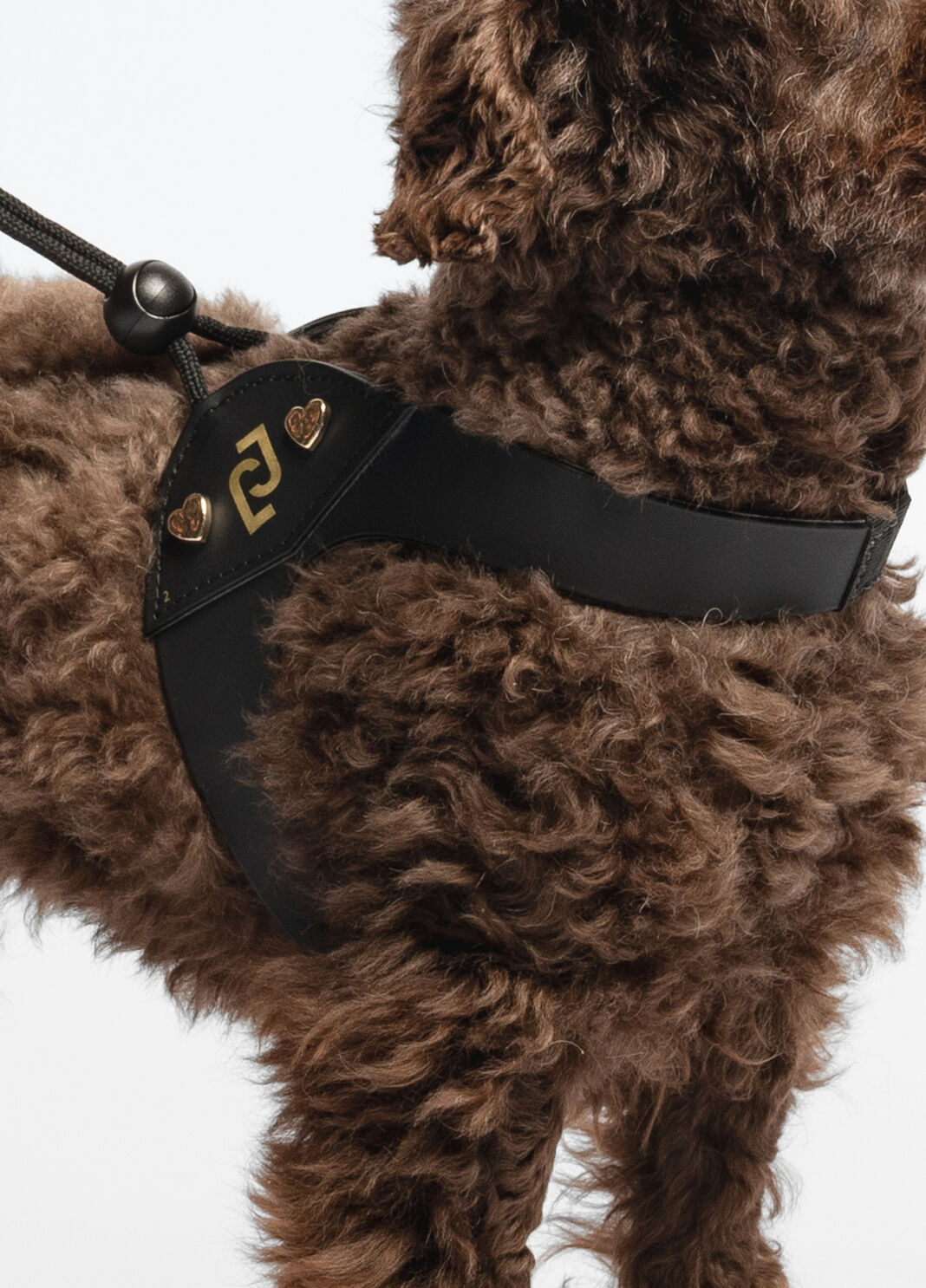 Liu Jo Pets harness black Liu Jo - large image number 4